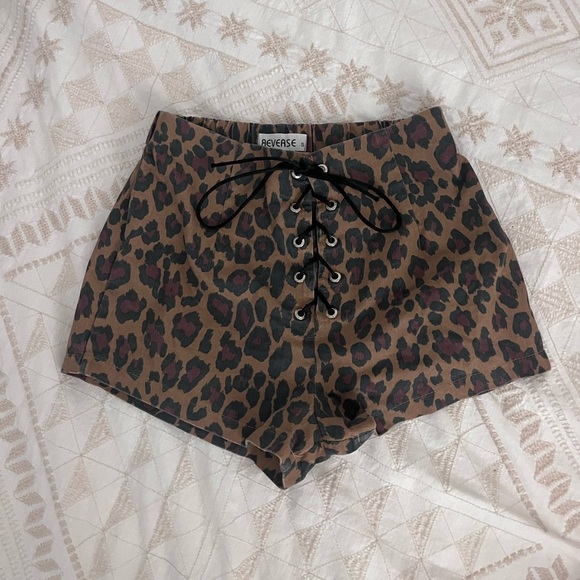 Cheetah Shorts - Picture 1 of 7